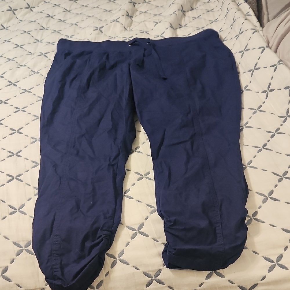 Torrid Rouged Ankle Pants